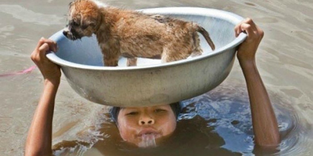 17 foto di bambini che vi faranno tornare la fiducia nell'umanità