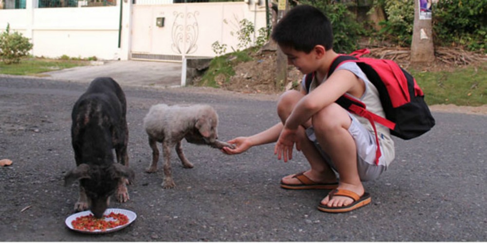 17 foto di bambini che vi faranno tornare la fiducia nell'umanità