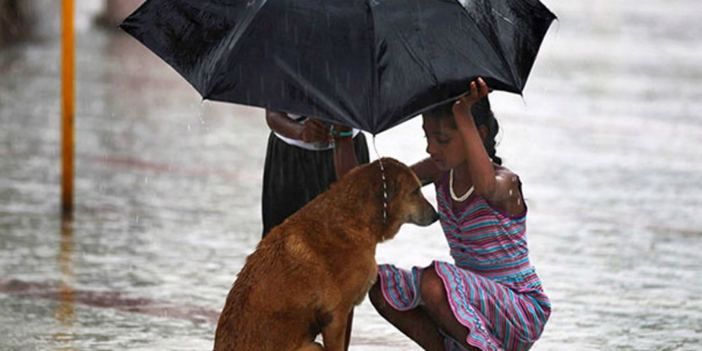 17 foto di bambini che vi faranno tornare la fiducia nell'umanità