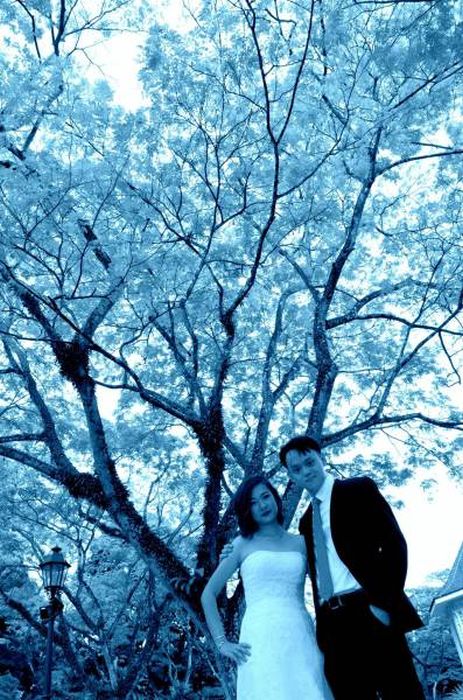 Fotografo Denunciato Per Aver Rovinato il Matrimonio: Ecco Le 20 Foto di Nozze Più Brutte