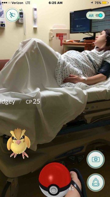 21 immagini che dimostrano che Pokemon Go è una follia che ci sta sfuggendo di mano