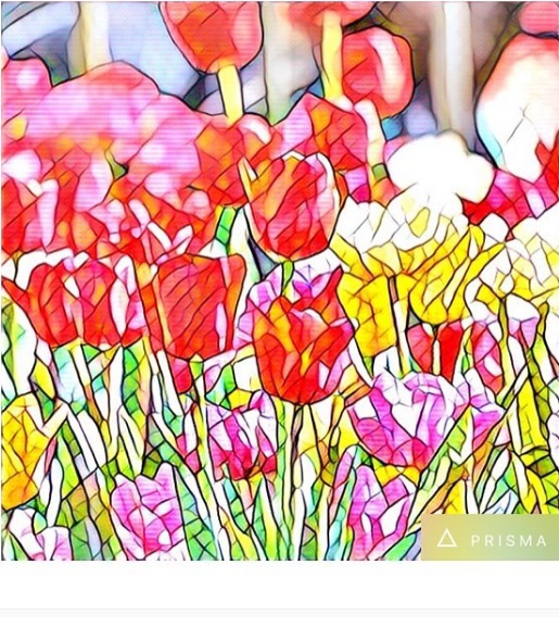 Prisma, l'app che trasforma le foto in quadri che impazza sui social