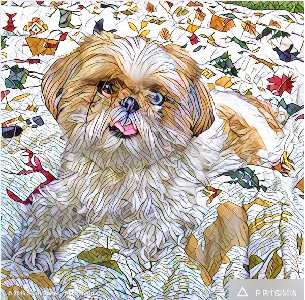 Prisma, l'app che trasforma le foto in quadri che impazza sui social