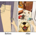 9 immagini che mostrano come cambia la vita prima e dopo un cane