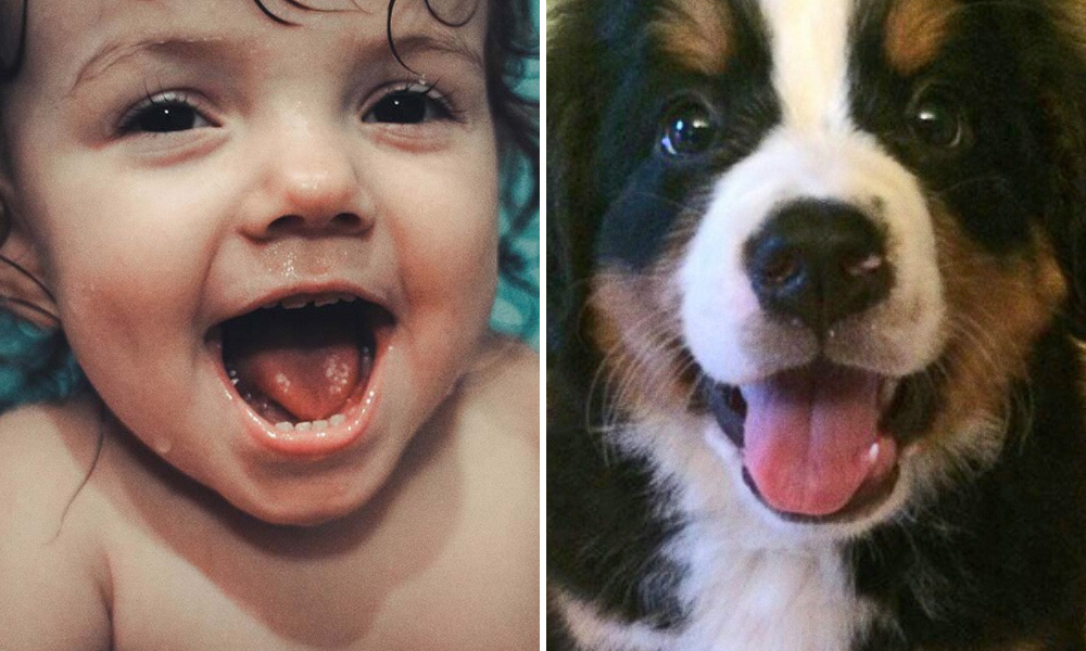 15 spettacolari foto che dimostrano che gli animali provano emozioni simili ai bambini