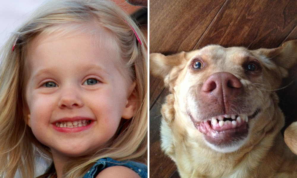 15 spettacolari foto che dimostrano che gli animali provano emozioni simili ai bambini