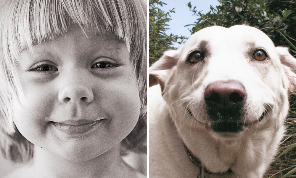 15 spettacolari foto che dimostrano che gli animali provano emozioni simili ai bambini