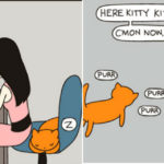 15 cose che solo chi vive con un gatto può capire!