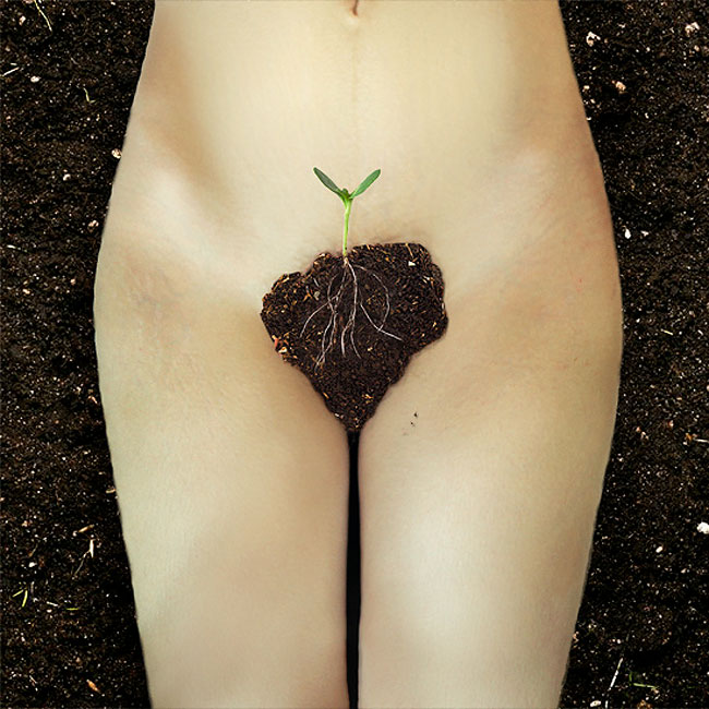 Giardini fioriti: 9 rappresentazioni intime delle fasi e dell'età di ogni donna