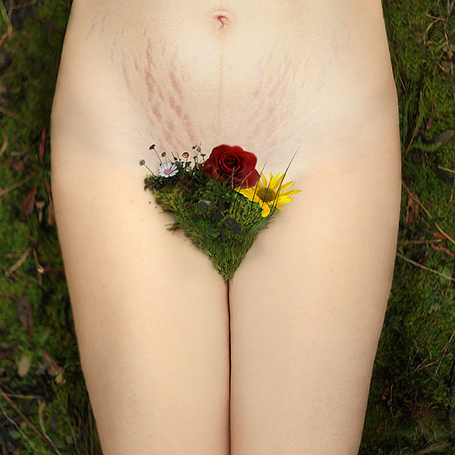 Giardini fioriti: 9 rappresentazioni intime delle fasi e dell'età di ogni donna