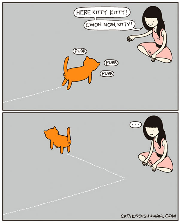 15 cose che solo chi vive con un gatto può capire!
