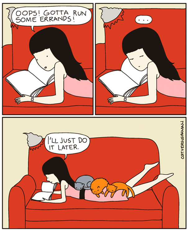 15 cose che solo chi vive con un gatto può capire!