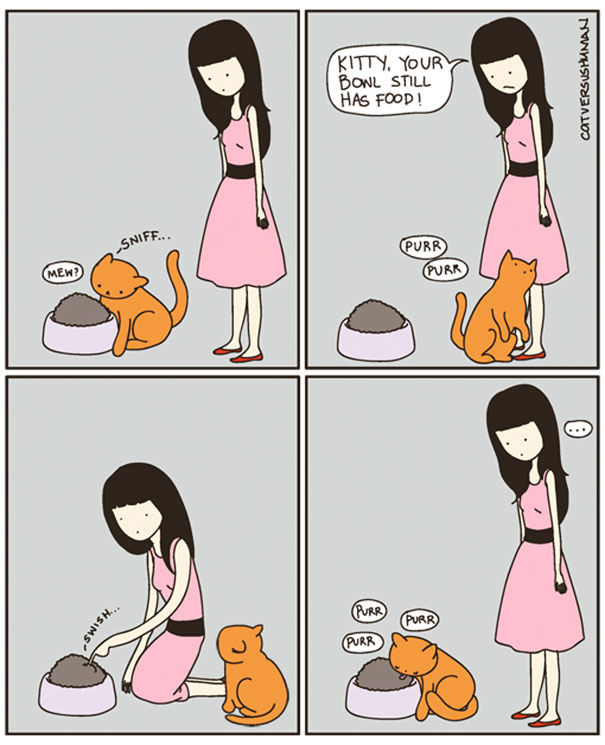 15 cose che solo chi vive con un gatto può capire!