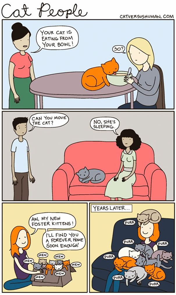 15 cose che solo chi vive con un gatto può capire!