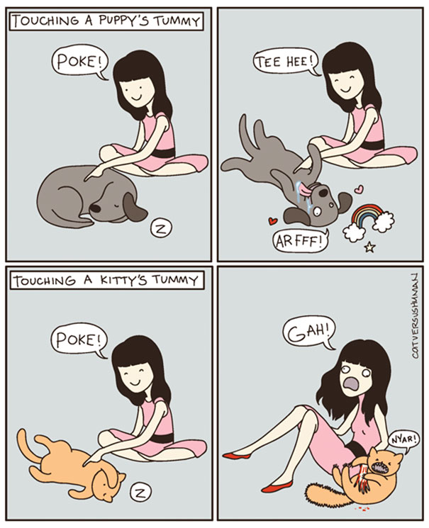15 cose che solo chi vive con un gatto può capire!