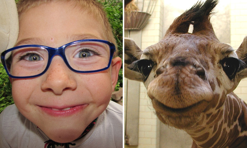 15 spettacolari foto che dimostrano che gli animali provano emozioni simili ai bambini