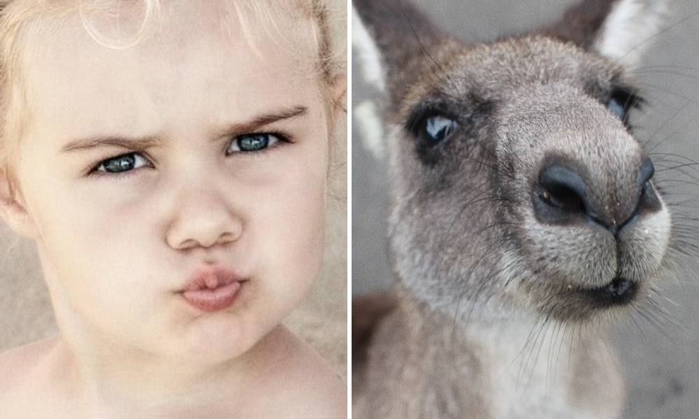 15 spettacolari foto che dimostrano che gli animali provano emozioni simili ai bambini