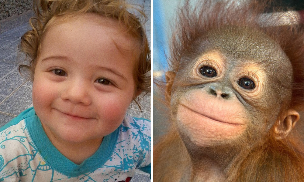15 spettacolari foto che dimostrano che gli animali provano emozioni simili ai bambini