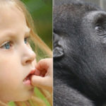 15 spettacolari foto che dimostrano che gli animali provano emozioni simili ai bambini