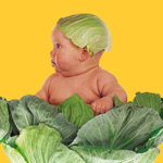Vi ricordate i bambini di Anne Geddes? Ecco come sono diventati