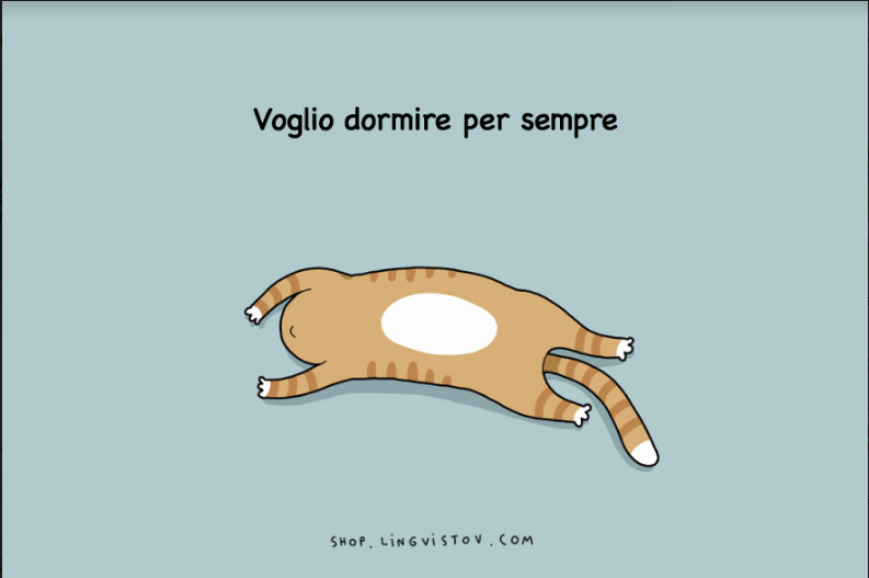 15 cose che solo chi ama dormire potrà capire davvero!