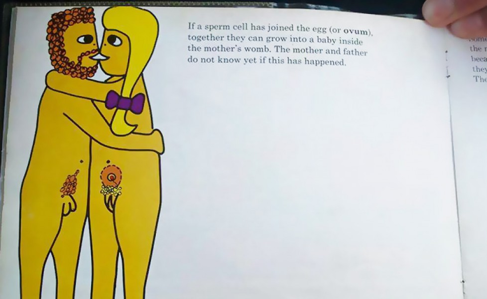 Spiegare il sesso ai bambini: perché i libri danesi e le loro immagini esplicite potrebbero essere un esempio