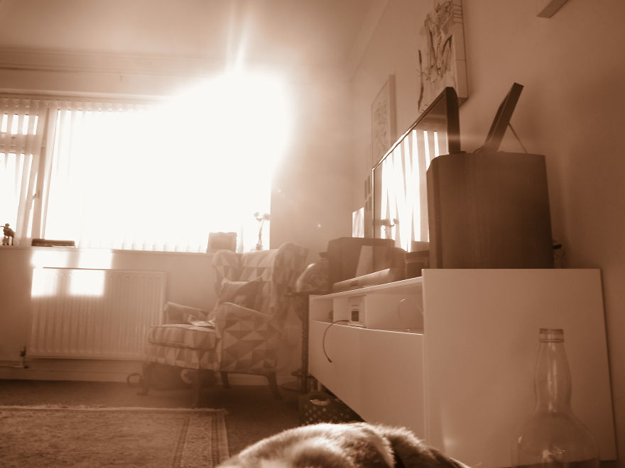 "Ho regalato a mio figlio la mia vecchia macchina fotografica: ecco cosa è successo"