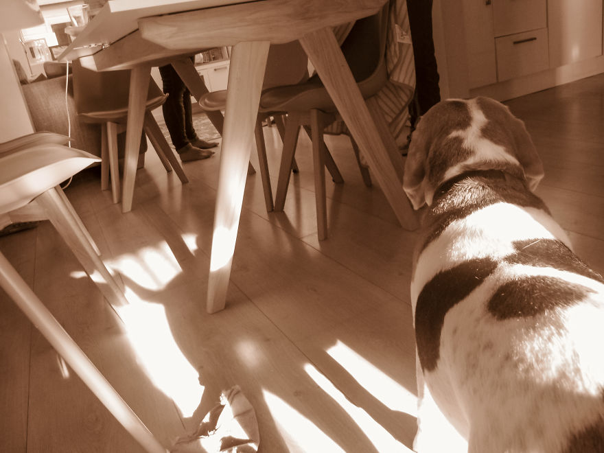 "Ho regalato a mio figlio la mia vecchia macchina fotografica: ecco cosa è successo"
