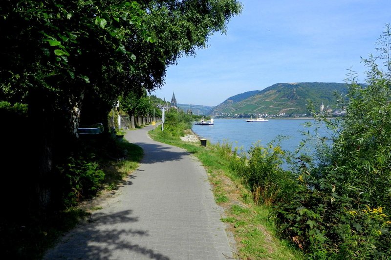 Amanti della bici, ecco le 6 piste ciclabili più belle del mondo. Pronte per una pedalata notturna su quella che brilla?