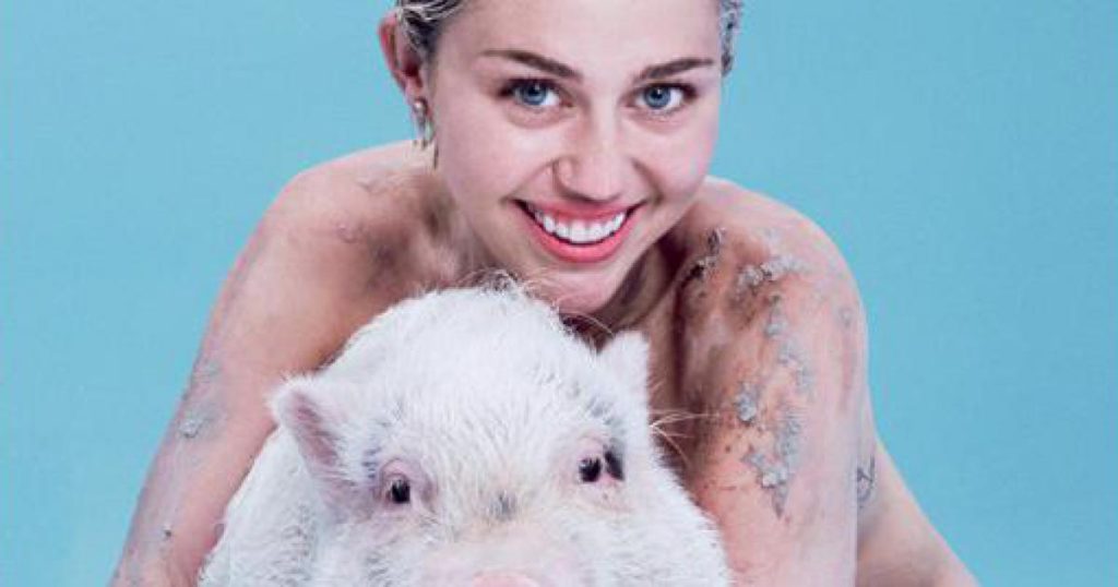Esther e altri 10 maiali... d'appartamento. Anche i VIP scelgono i "cani rosa"