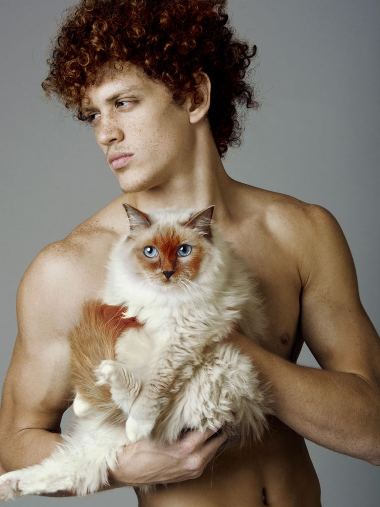 Meglio un uomo o un gatto? 8 scatti per i quali non serve scegliere