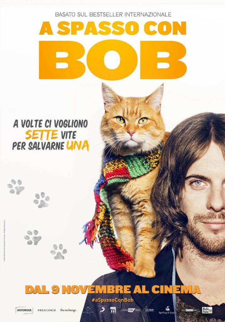 Torna il cinema a 2 euro. Ecco i migliori film da vedere mercoledì 9 novembre
