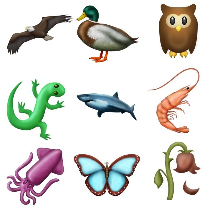 Whatsapp: 72 nuove emoji, al passo con i tempi. Soprattutto per le donne