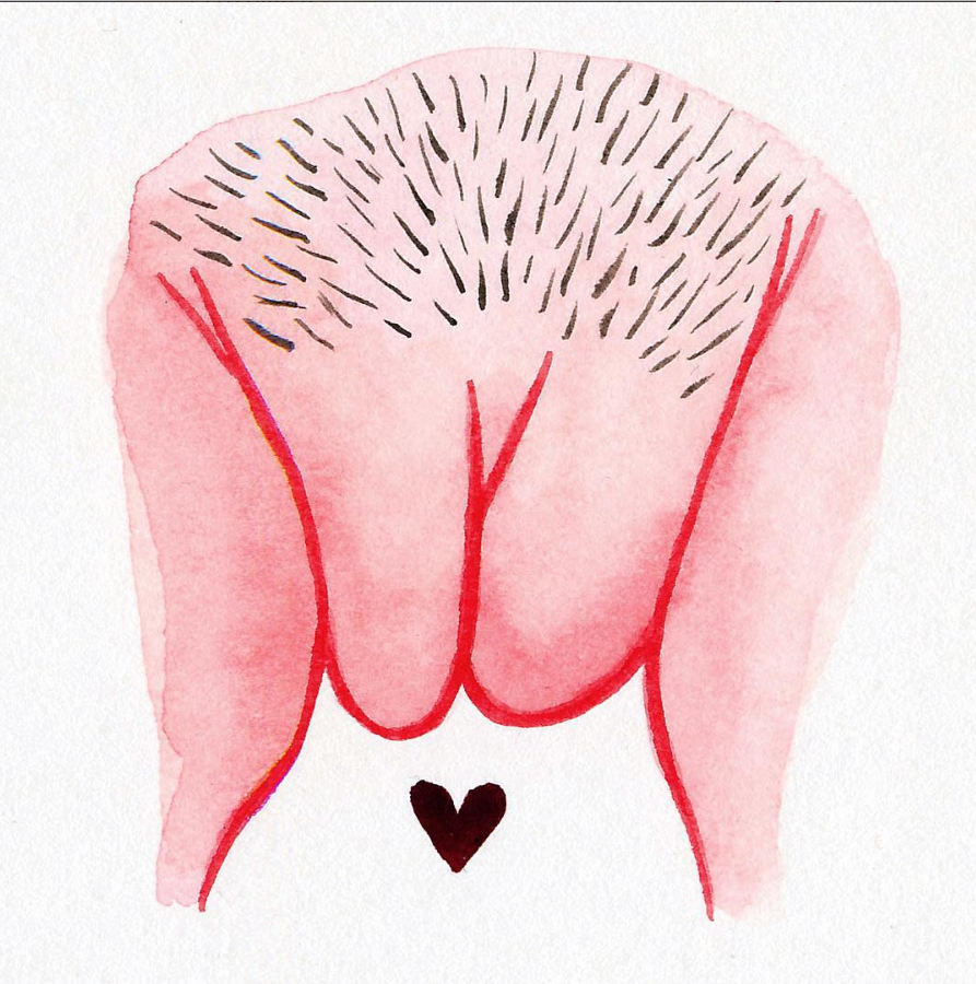 Il profilo Instagram delle vulve per celebrare la diversità delle donne