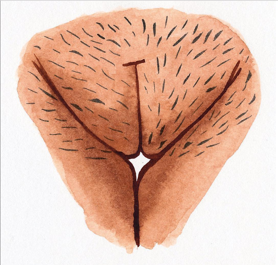 Il profilo Instagram delle vulve per celebrare la diversità delle donne