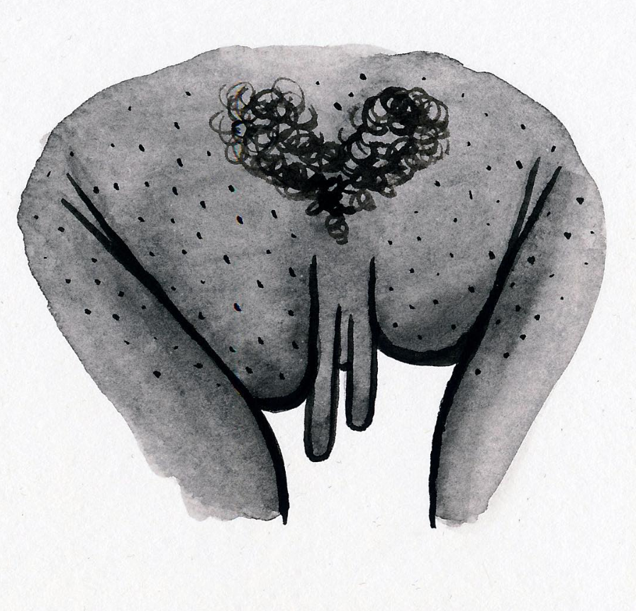 Il profilo Instagram delle vulve per celebrare la diversità delle donne