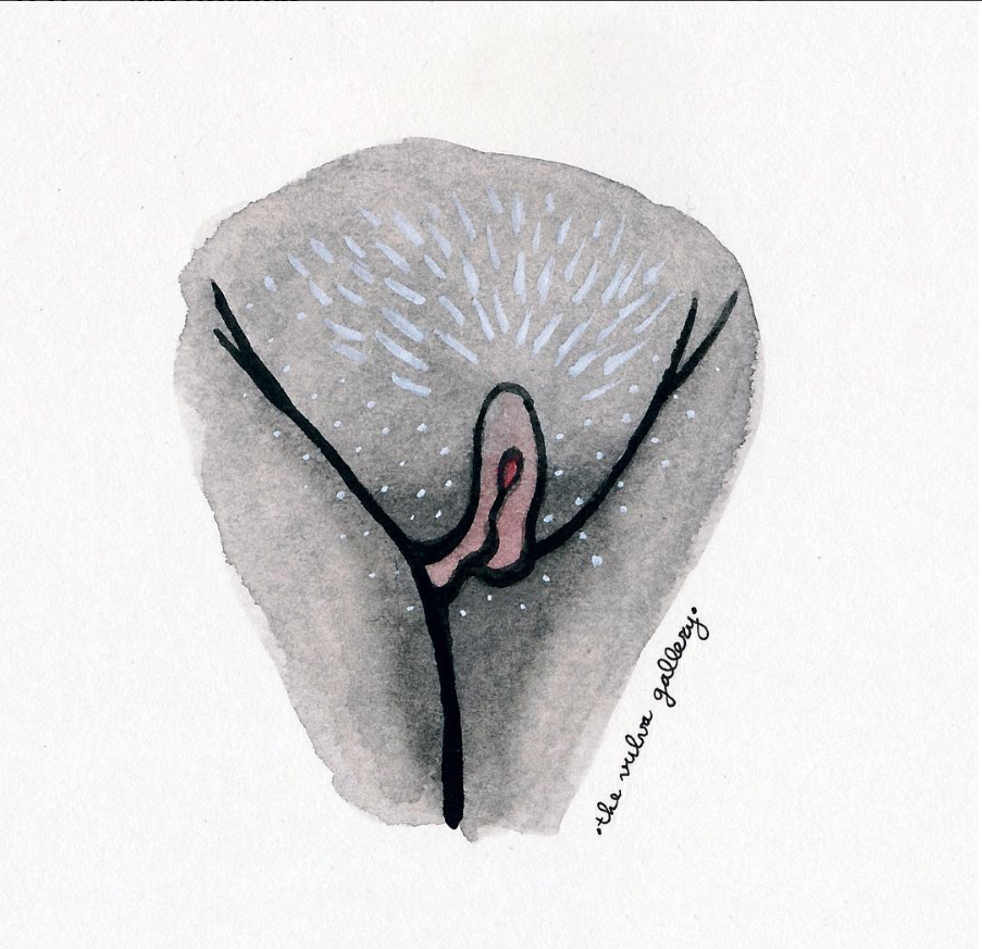 Il profilo Instagram delle vulve per celebrare la diversità delle donne