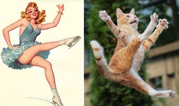 Questi gatti posano come delle vere Pin-up
