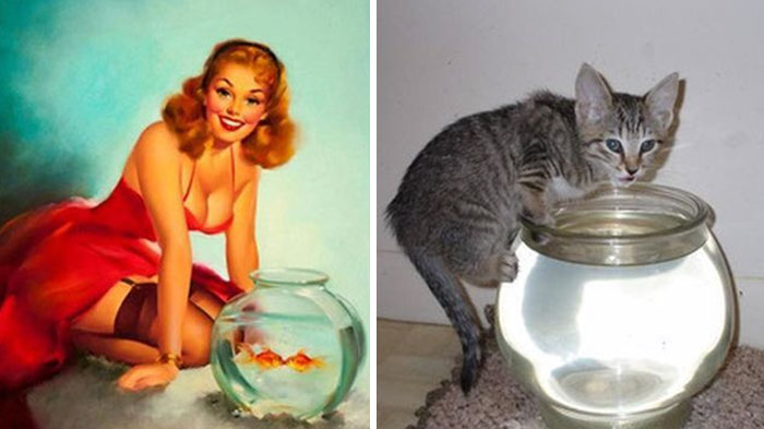 Questi gatti posano come delle vere Pin-up
