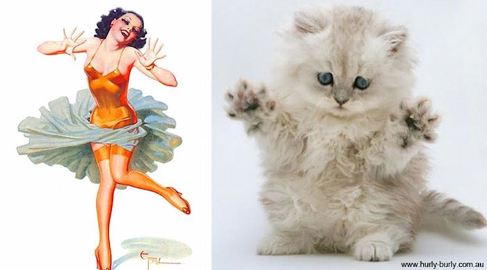 Questi gatti posano come delle vere Pin-up
