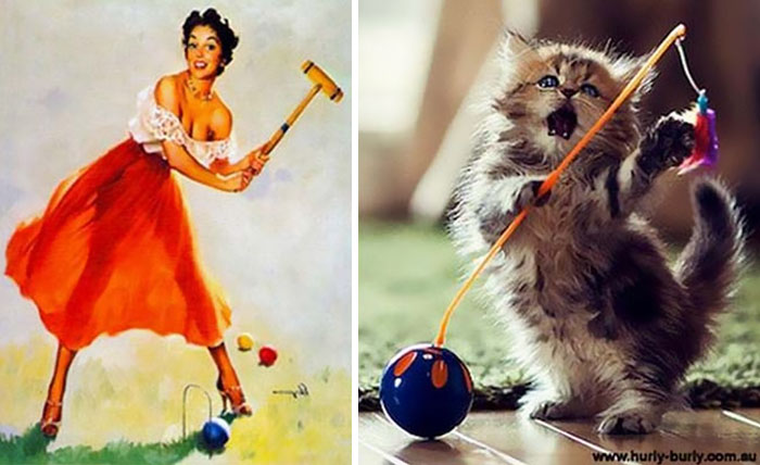 Questi gatti posano come delle vere Pin-up