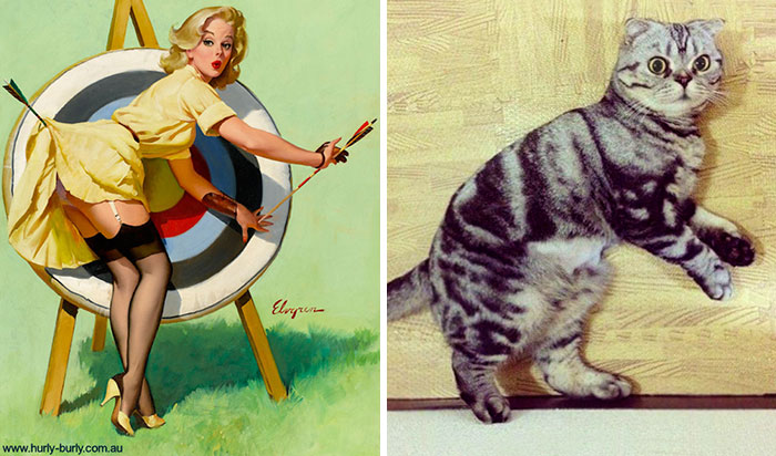 Questi gatti posano come delle vere Pin-up
