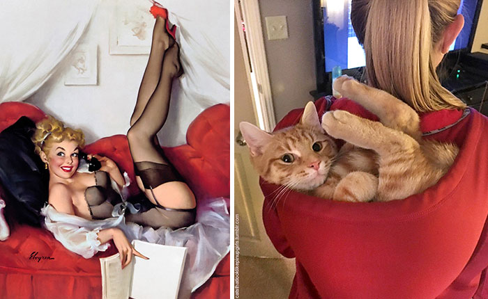 Questi gatti posano come delle vere Pin-up