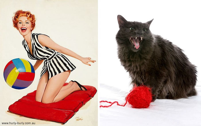 Questi gatti posano come delle vere Pin-up