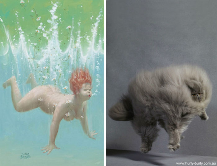 Questi gatti posano come delle vere Pin-up