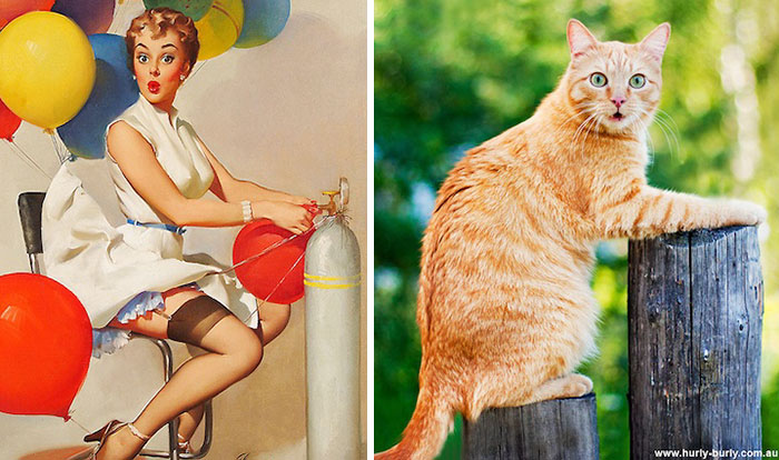 Questi gatti posano come delle vere Pin-up