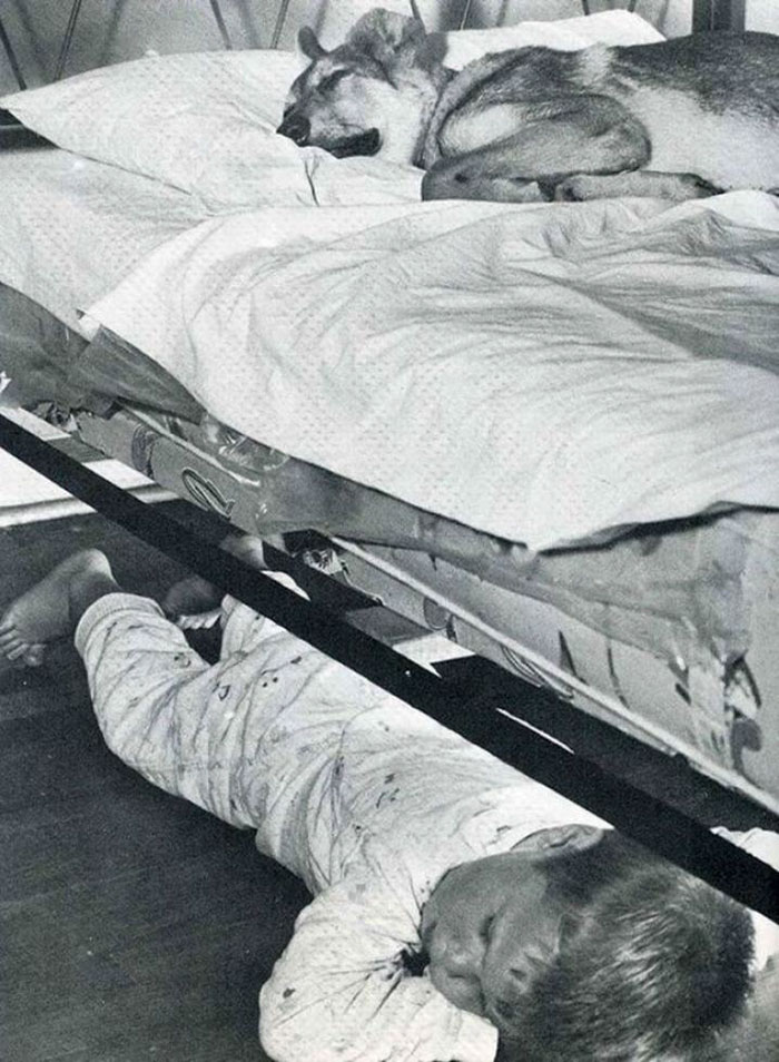 26 dolcissime foto dal passato che vi faranno commuovere