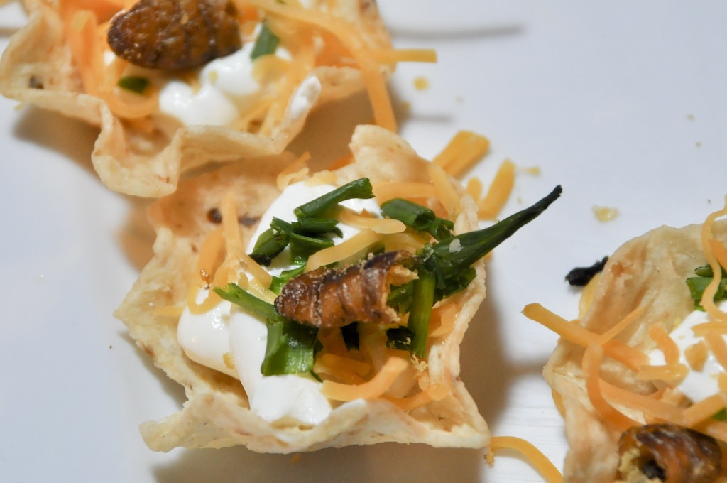 Come ti cucino gli insetti. 24 piatti considerati gourmet (altro che schifo!)
