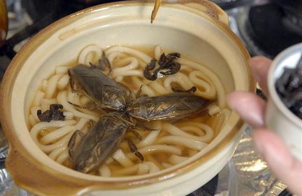 Come ti cucino gli insetti. 24 piatti considerati gourmet (altro che schifo!)