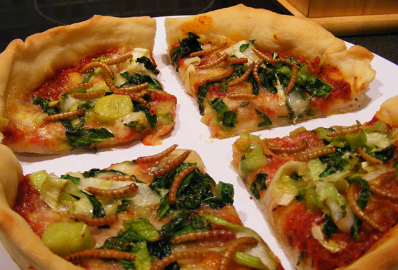 Come ti cucino gli insetti. 24 piatti considerati gourmet (altro che schifo!)